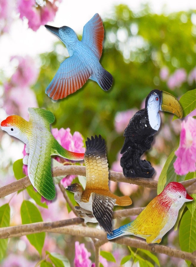 Mallexo Realistic PVC Bird Figures Toys | 3D Model Sparrow Animal Farm Figure Play Set | Miniature Bird Toys for Kids Cake Topper Party Favours | Birthday Return Gift Animals Set - Multicolor - Image 3